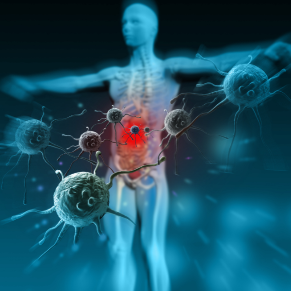 Ανοσοποιητικό Σύστημα