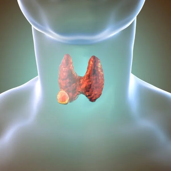 Ορμονικό Σύστημα